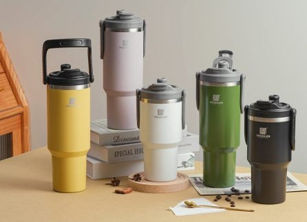 Stainless Steel Bottle